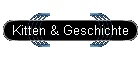 Kitten & Geschichte